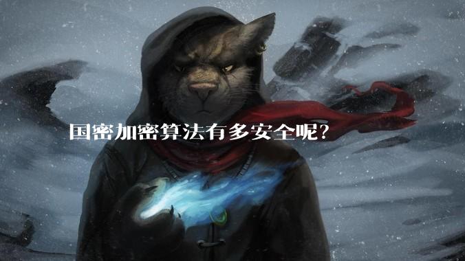 国密加密算法有多安全呢？