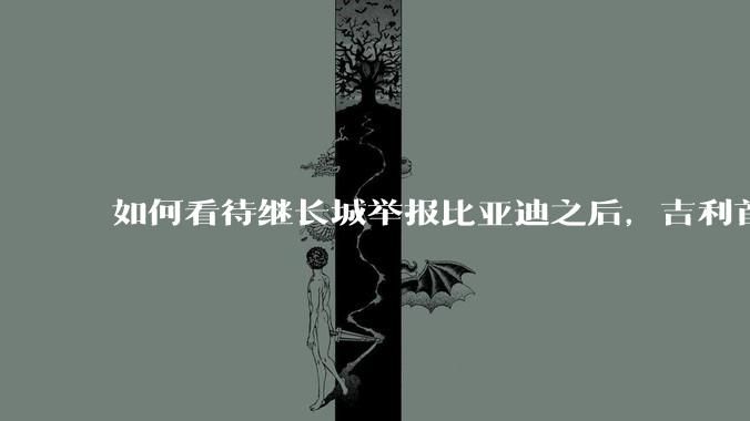 如何看待继长城举报比亚迪之后，吉利首次公开支持长城，广汽也力挺吉利发言，奇瑞说价格战是饮鸩止渴？