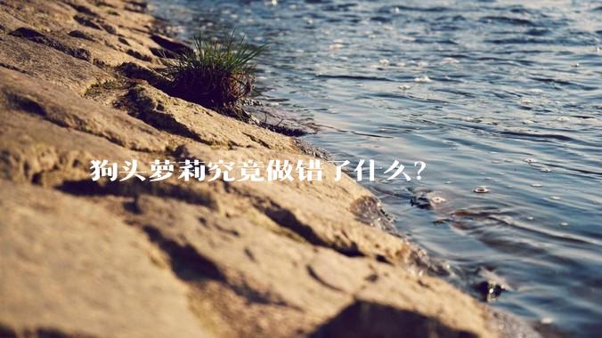 狗头萝莉究竟做错了什么？