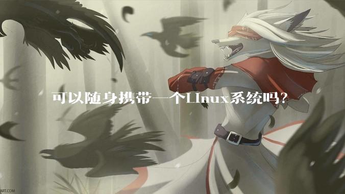 可以随身携带一个Linux系统吗？