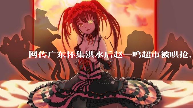 网传广东怀集洪水后赵一鸣超市被哄抢，县***回应相关单位正在核实，若属实哄抢者该承担哪些法律责任？