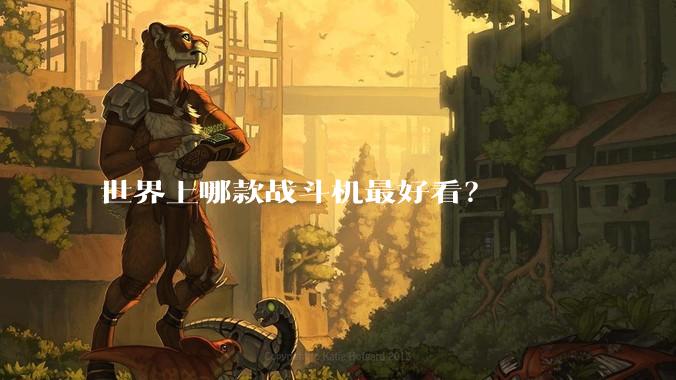 世界上哪款战斗机最好看？