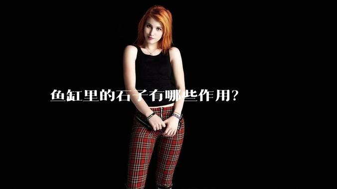 鱼缸里的石子有哪些作用？