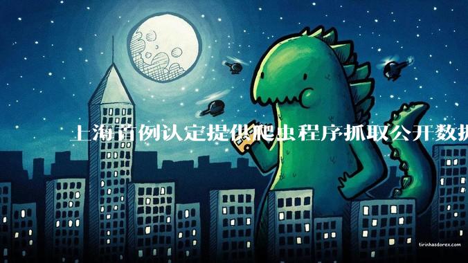 上海首例认定提供爬虫程序抓取公开数据构成提供侵入计算机信息系统程序罪案，该案件有哪些细节值得关注？