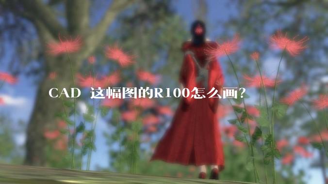 CAD 这幅图的R100怎么画？