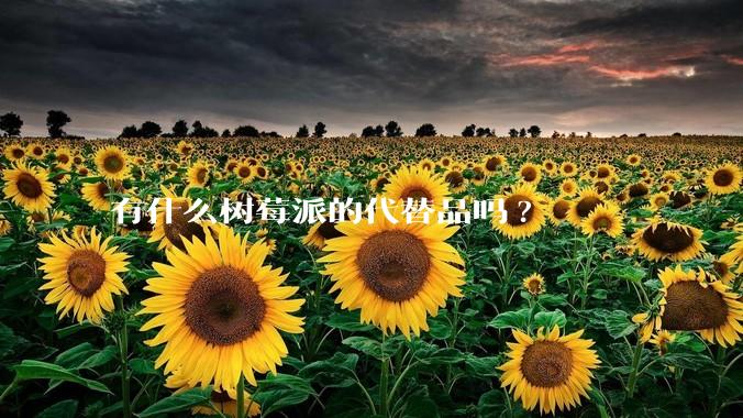 有什么树莓派的代替品吗?