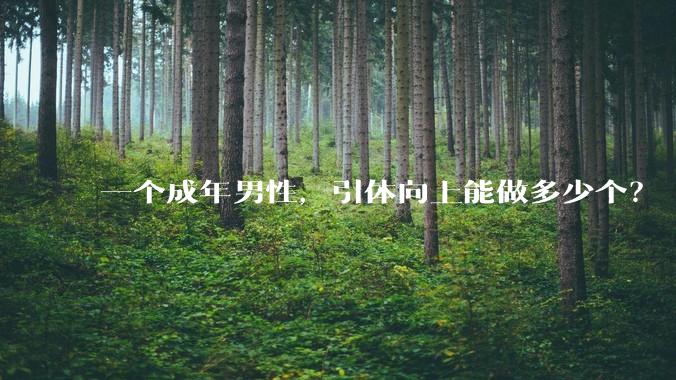 一个成年男性，引体向上能做多少个？