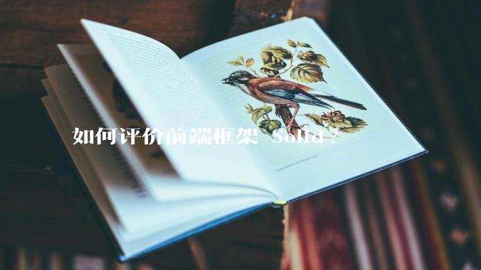 如何评价前端框架 Solid?